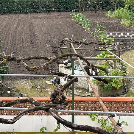 Casinha Da Avo Rosario Apartment Juncal  Ngoại thất bức ảnh