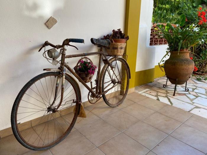 Casinha Da Avo Rosario Apartment Juncal  Ngoại thất bức ảnh