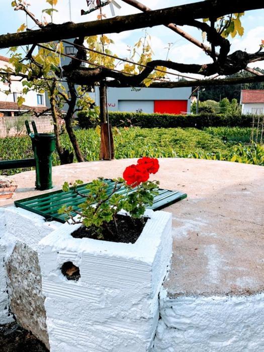 Casinha Da Avo Rosario Apartment Juncal  Ngoại thất bức ảnh